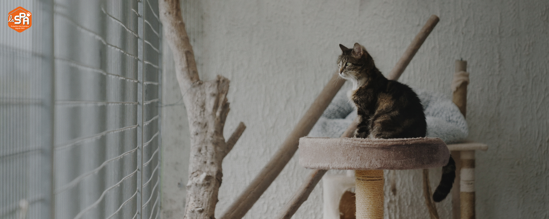 Échantillon publicité La SPA 1